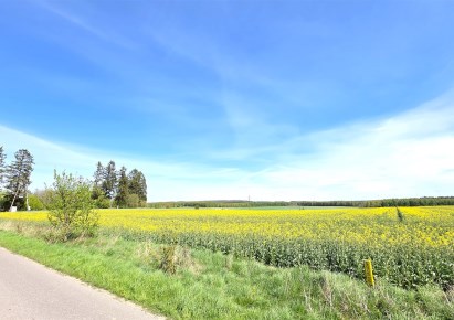 działka na sprzedaż - Nowa Wieś Lęborska, Tawęcino
