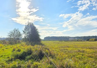 działka na sprzedaż - Wicko