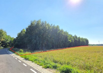 działka na sprzedaż - Potęgowo, Żychlin
